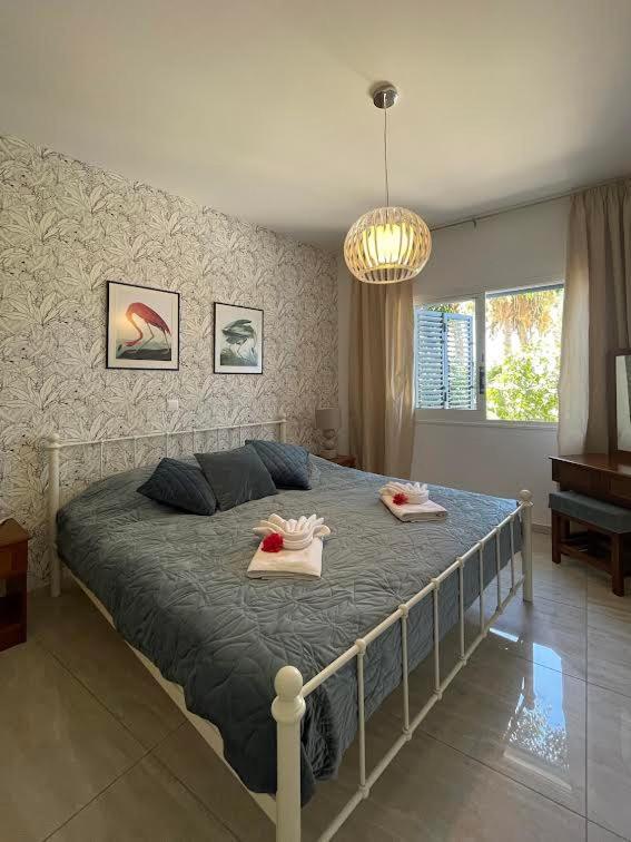 Timeless Cyprus Apartment Paphos Bagian luar foto